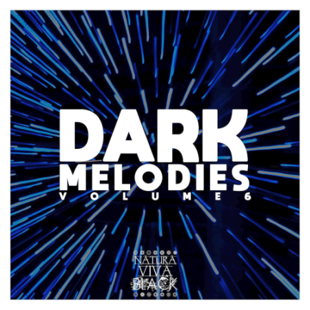 VA - Dark Melodies Vol. 6 (2021)