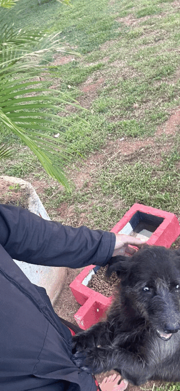 ezgif.com-animated-gif-maker (2)