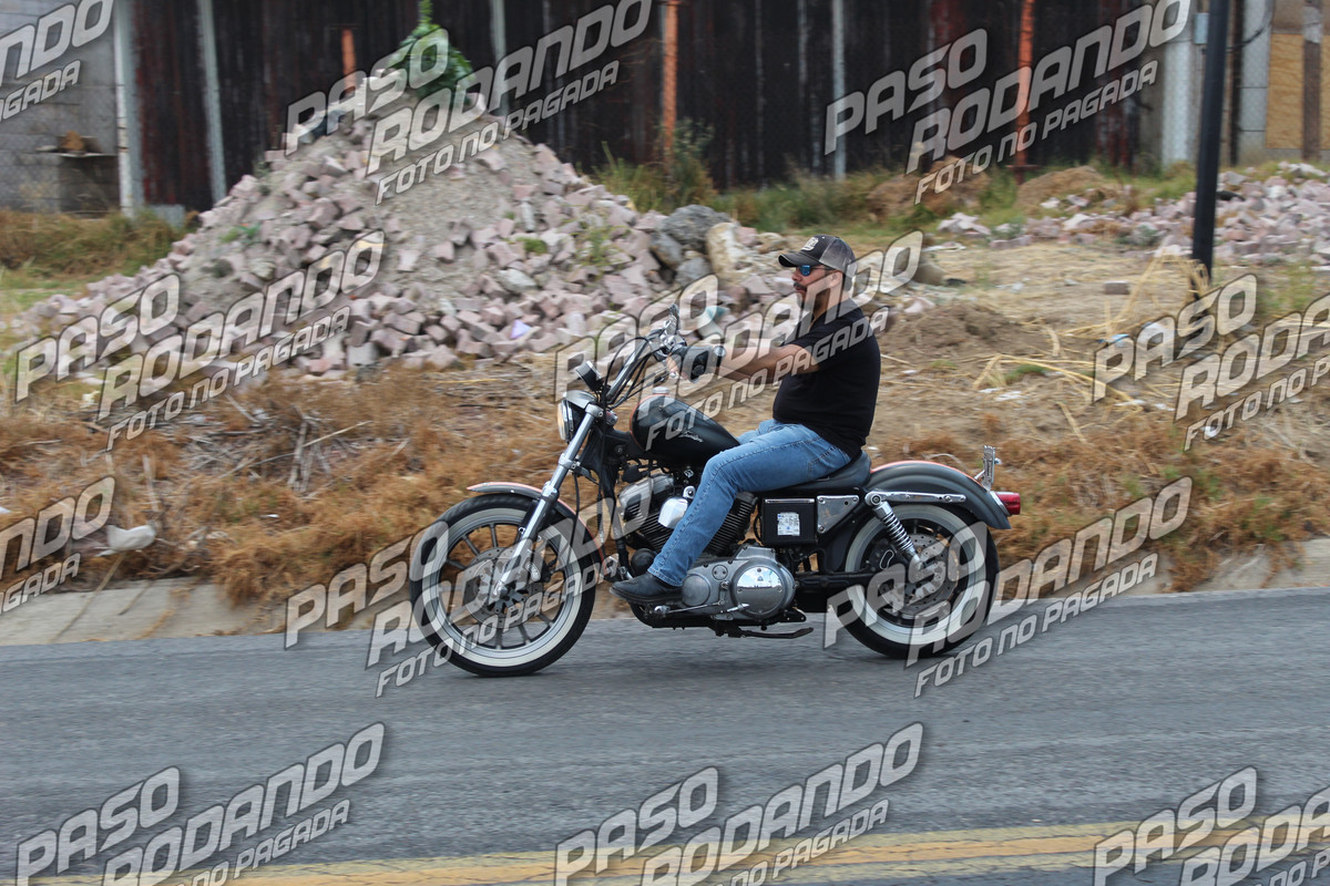 IMG 7273 wm 80745 09999999404 watermarked — Postimages