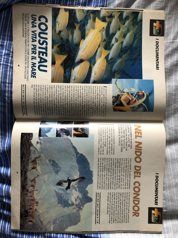 6FD4D2D6-A6A2-4090-9D0A-90F2A8FB9107