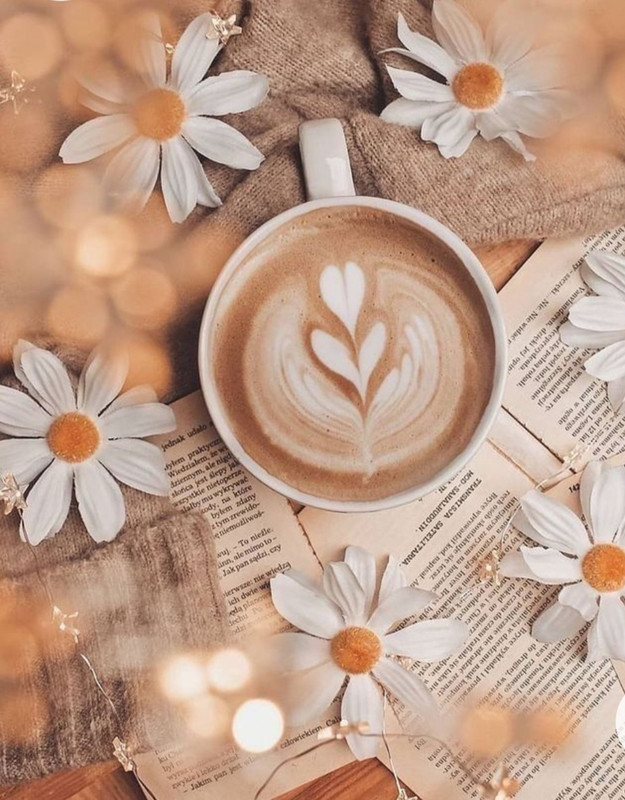 Screenshot_20230211_144540_Chrome