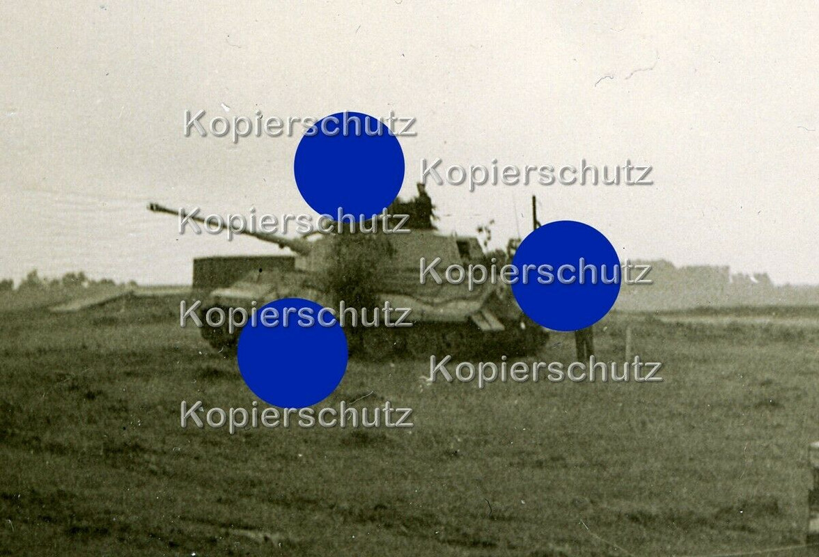Original Foto Königstiger Tiger Sommer 1944