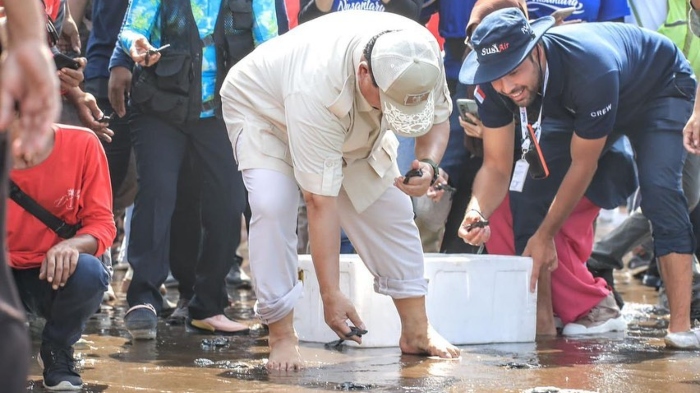 Potret Prabowo Subiant saat lepas tukik di sebuah pantai di Pangandaran, pada Senin (17/7/2023).