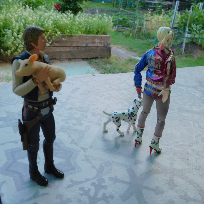 Дачно-Харлинский июнь-июль 2024 301