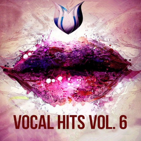 VA   Vocal Hits Vol. 6 (2020)