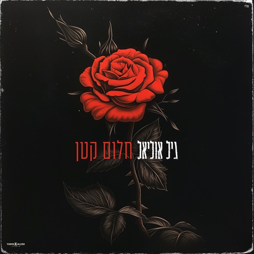 תמונה