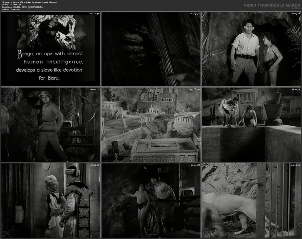 Darkest Africa S01E04 The Hunter Lions of Joba.mkv