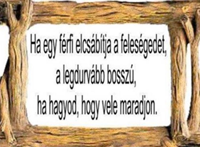 https://i.postimg.cc/JhqR2J2L/ha-egyferfi.jpg