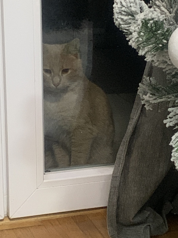 D382E0C6-E6A5-4E11-BF37-B54254093D34