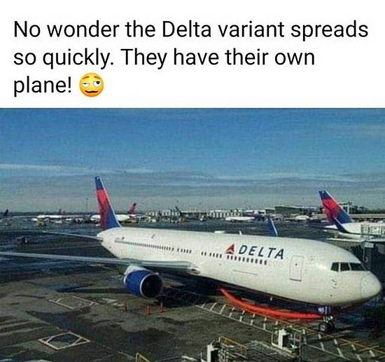 tn-21848.jpg