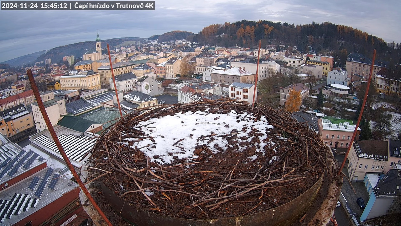 Živě z čapího hnízda na pivovarském komíně v Trutnově 13-0-2 screenshot