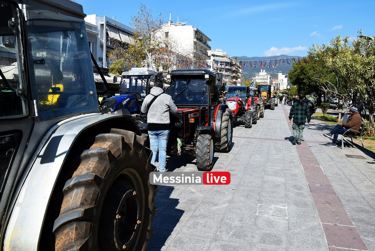 agrotes-DSC-0903