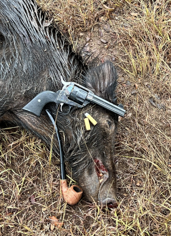 Screen Shot 2024-09-03 at 7.41.51 PM