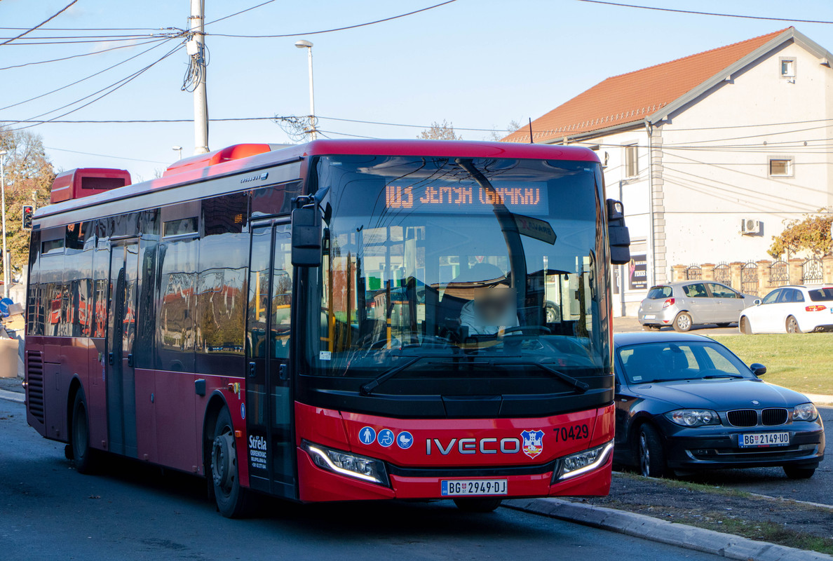 7042912.jpg