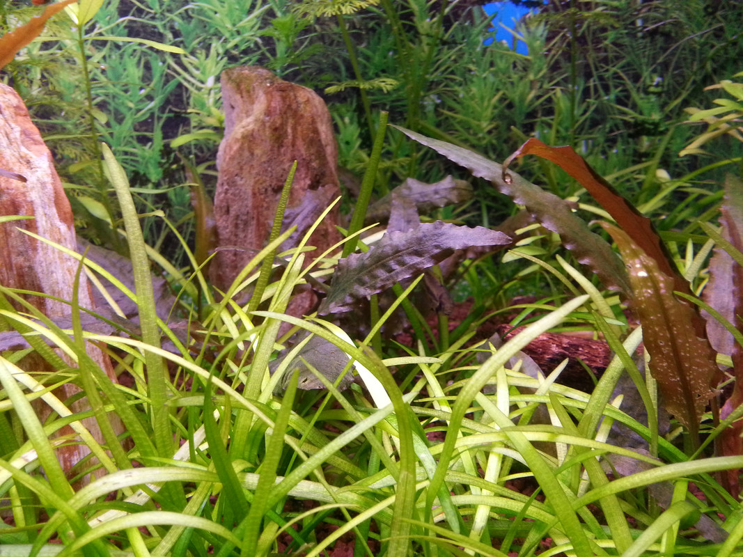 76929844-DF9D-49DF-91D8-06F73A18A092