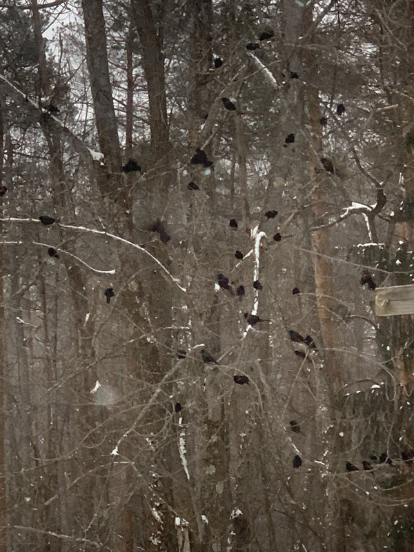 0EFFE8C9-AF2F-4D31-AE48-1A8E4C3D5CFF