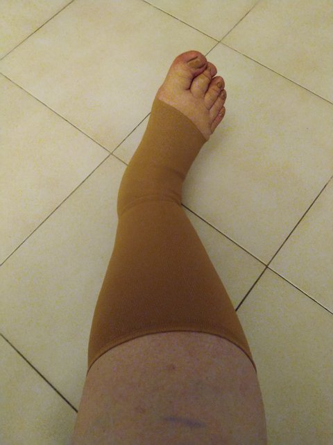 42504CDC-F733-41E0-BD73-CC5EDC06FC13