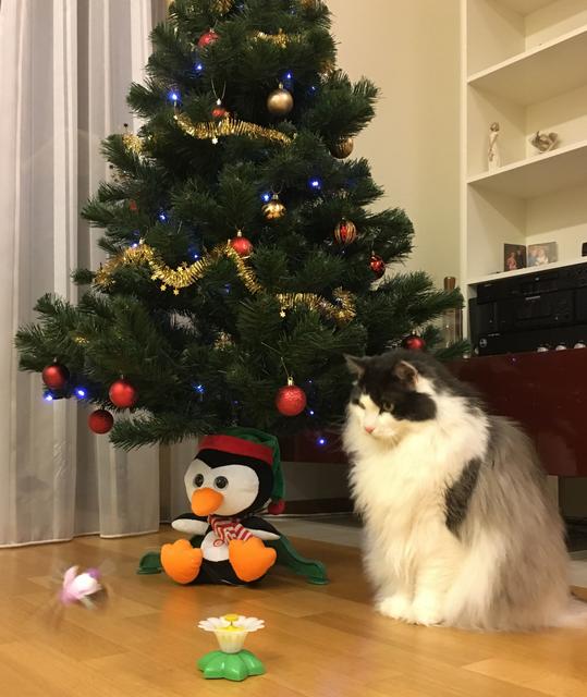 0-C306-F22-E810-4682-93-FD-04-AAF20762-E