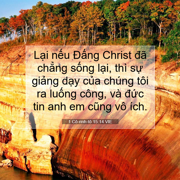 [Image: 1-C-rinh-t-15-14-VIE-L-i-n-u-ng-Christ-c...14-L07.jpg]