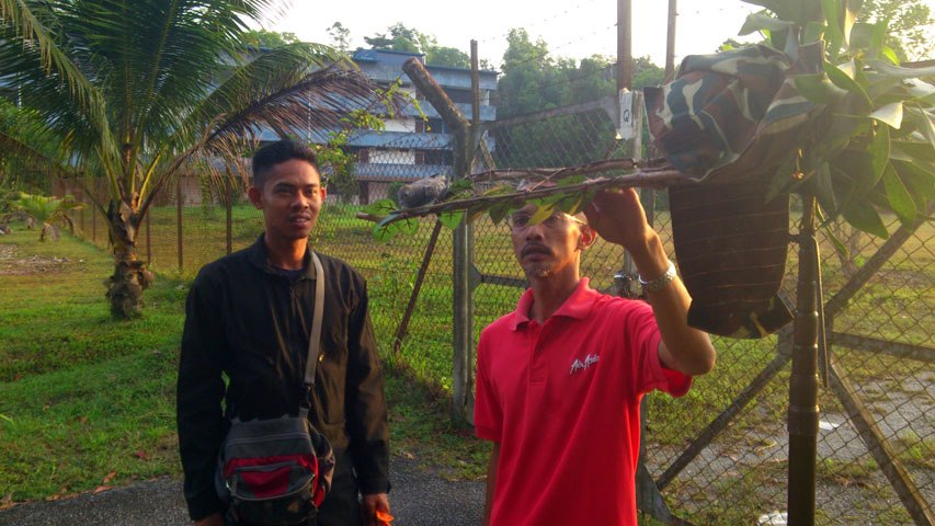 Quarters PGK 280313 (5)