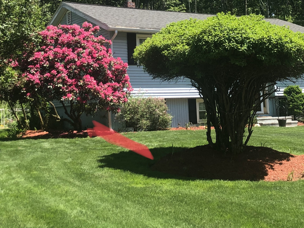 40A6FF18-0EB3-4C40-9EE0-54E36EE5ADF8