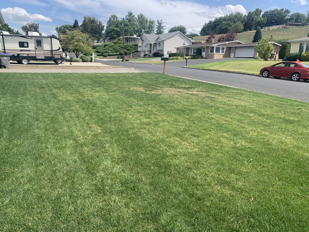 D8D67B17-29A2-433A-9F2B-49B289E158CF