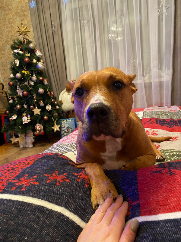 1B43C4C4-1BB2-4A0B-906B-1B8FF9A72B57