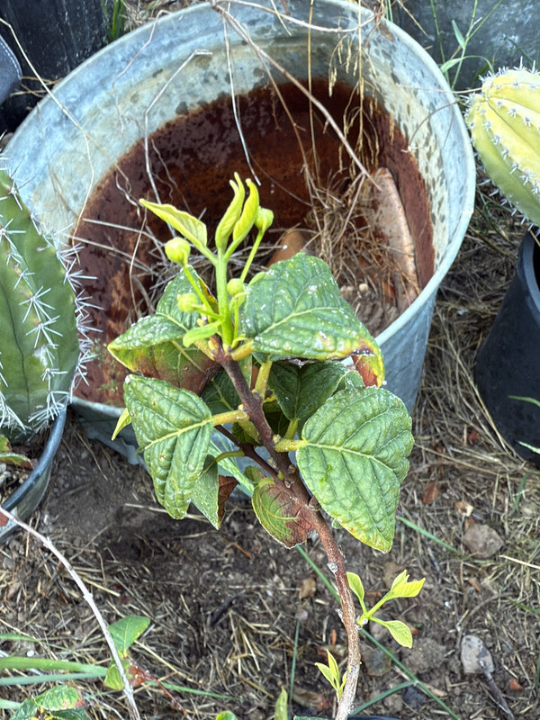 87D44426-24D9-4A11-BDA2-3A19096F66E6