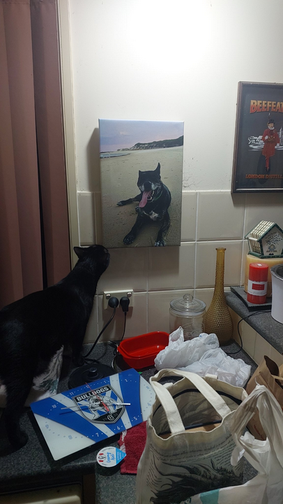 Screenshot 2025 12 30 at 12 04 59 Sir M B Anshaw ( djebel) X