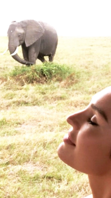 62247752_366108220929689_8232205917896137156_n