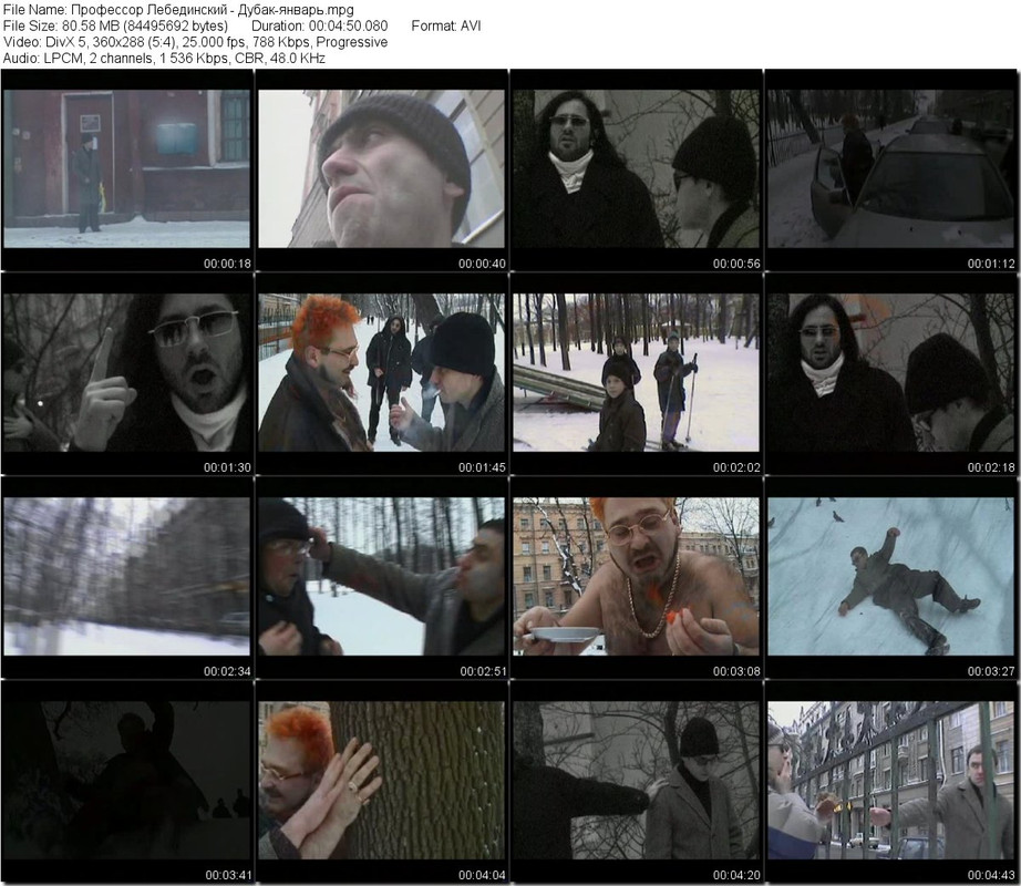 Профессор Лебединский - Дубак-январь.mpg_tn