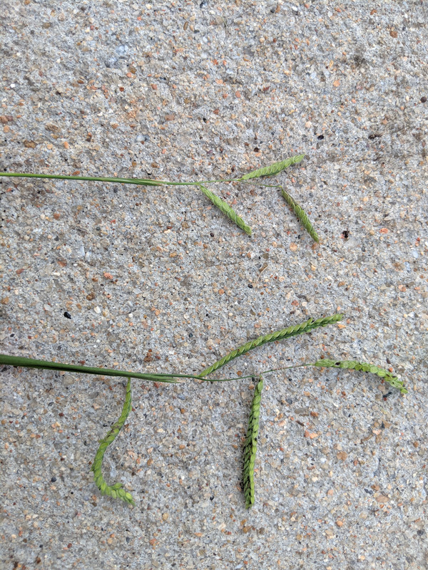 MVIMG_20190821_184417