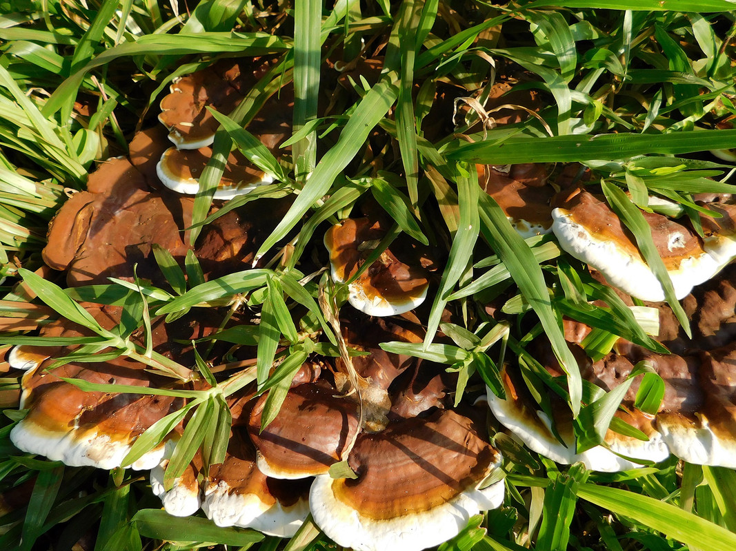 DSCN0326.jpg