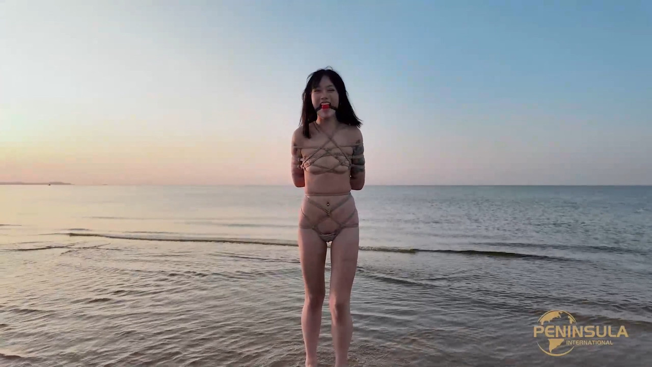 半岛束艺 为了证明烟台近海没有鲨鱼~波雅.mkv_20241003_132705.010