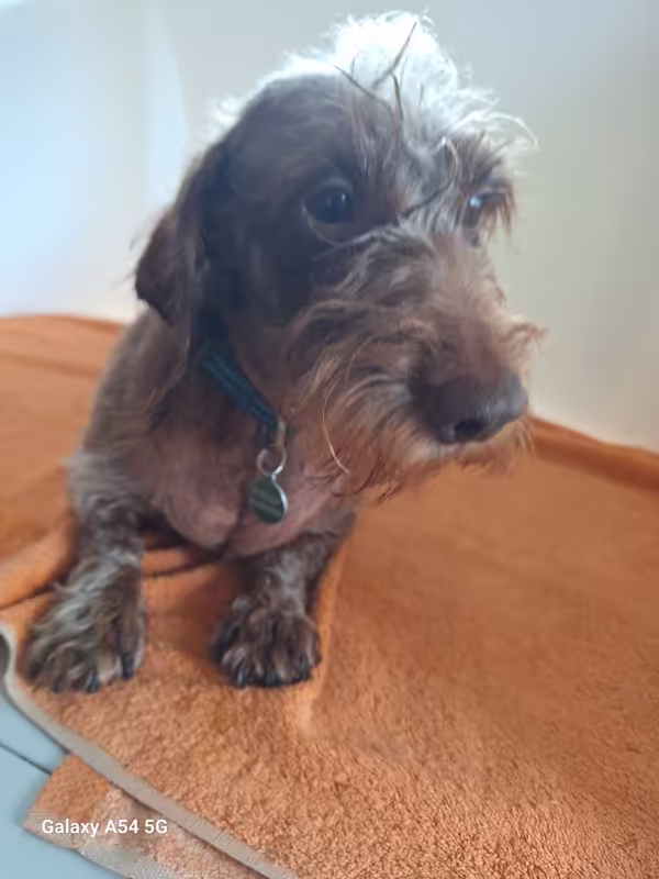 [Image: 20240930-120235.avif]