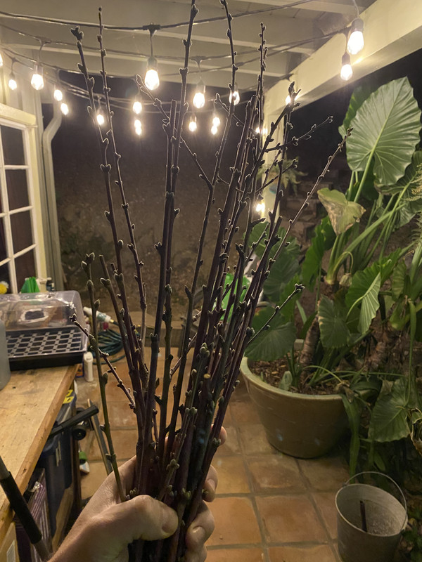 C374BB5A-8BF5-4E83-9A77-CEA8583DA9B9