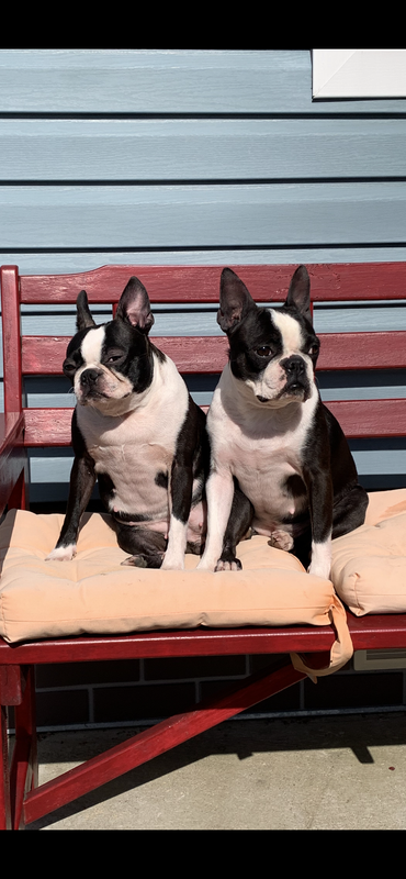 406223AC-7387-4344-8B2D-733B53EE38CA