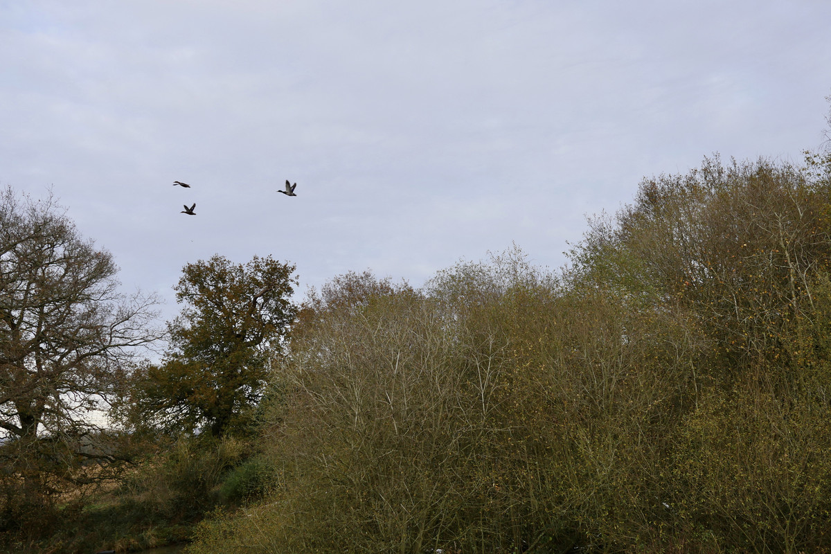 21D43D9B-F11C-4BC0-9558-FF7246821313