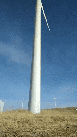 GIFs-2