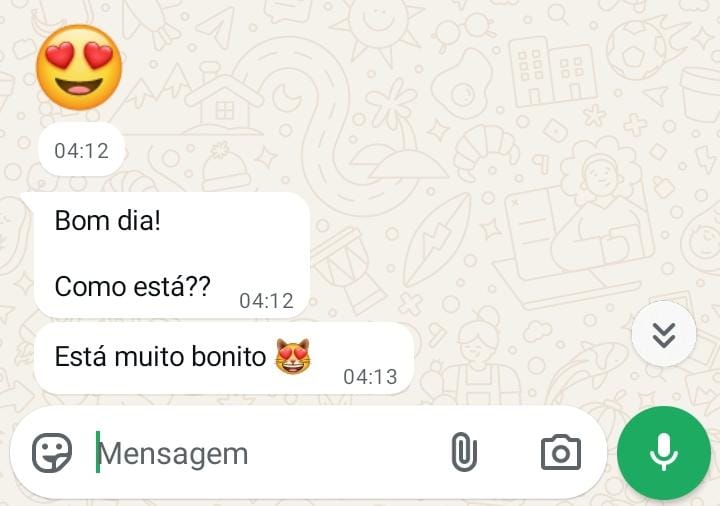 Screenshot de conversa WhatsApp com feedback positivo de cliente Lirandzo