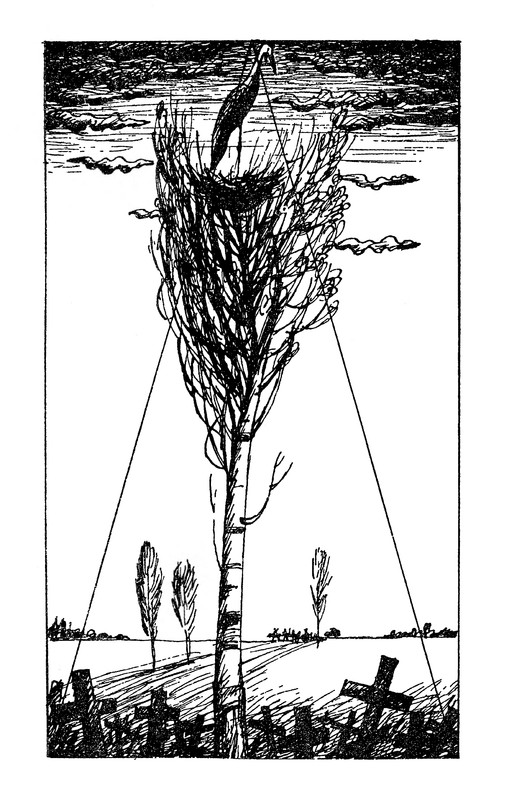 p0296