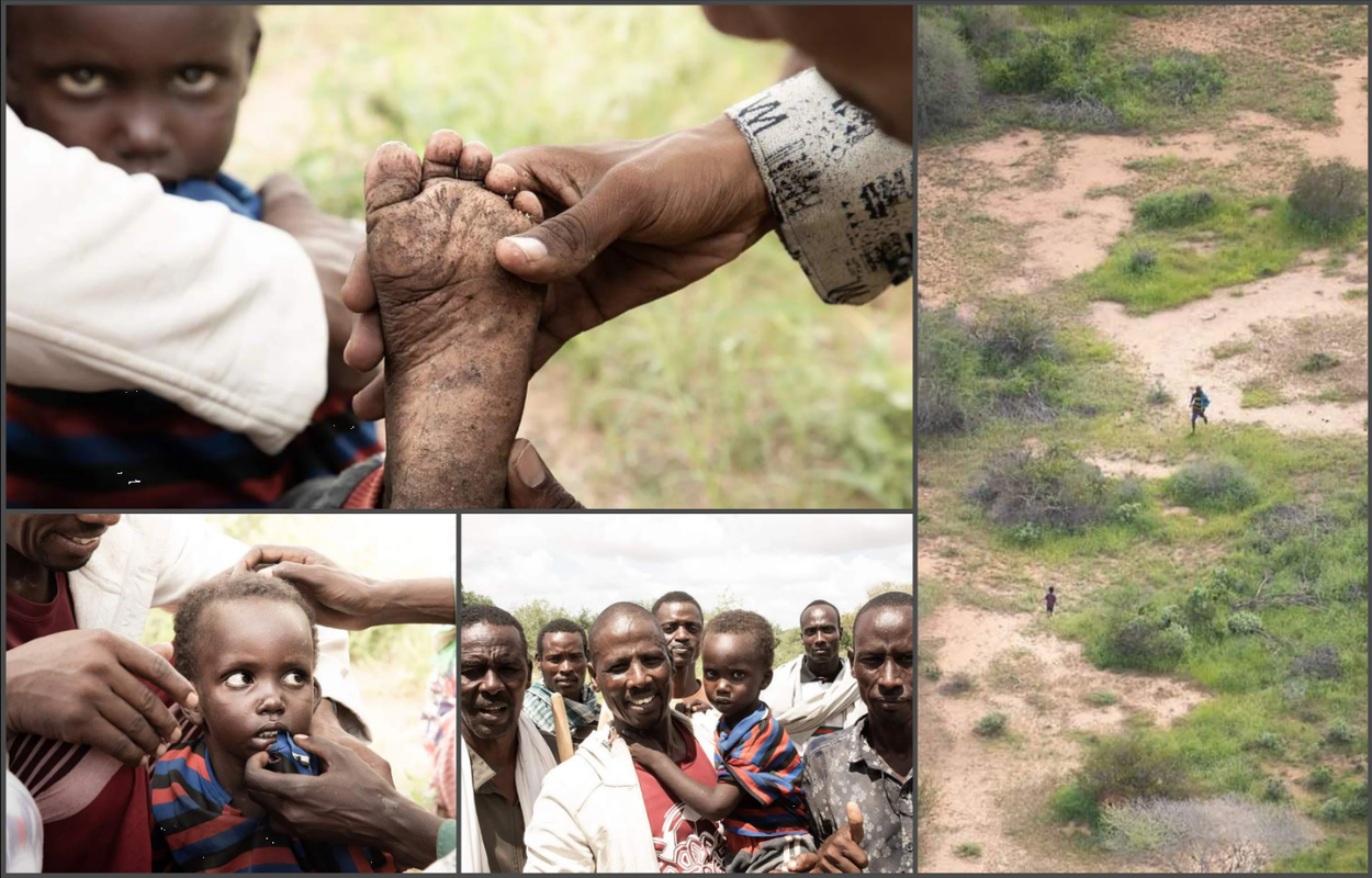 Niño sobrevive varios días solo en una selva llena de hienas y chacales