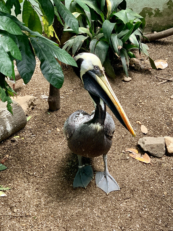 A0F17DB1-A5BF-4D68-8370-715BF6DB2B01