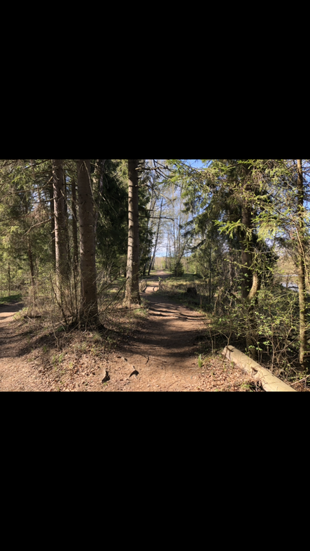 2AA5E6B4-3A83-444A-A472-4DA98BCF91BD