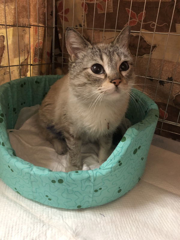 2C40ED13-BBBD-4CD8-86A0-C3A78D3F77A6