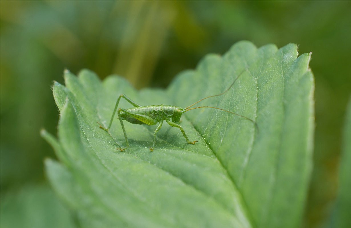 f371b2123c9b27088b88159fe4c6930f[1]