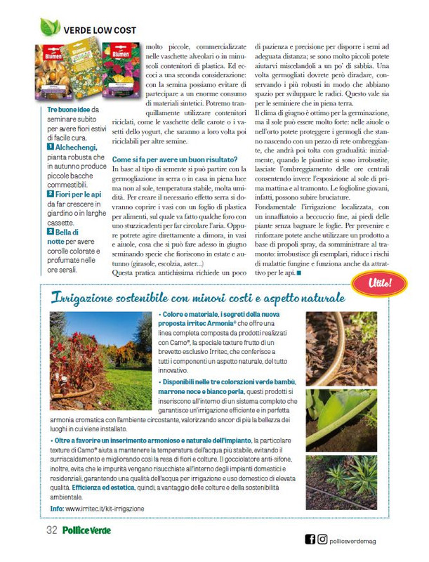 Pol Ver Giu 2025 (4)