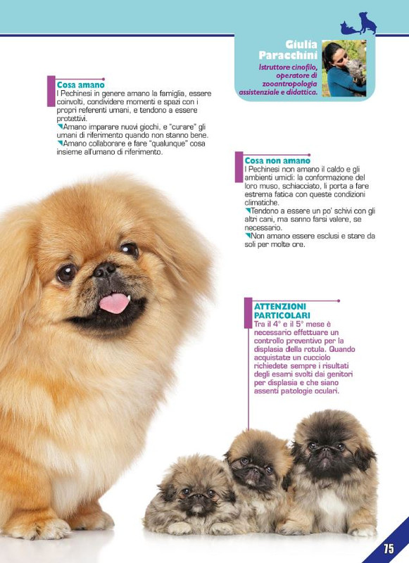 Foc Wil - Dic 2023 (12)