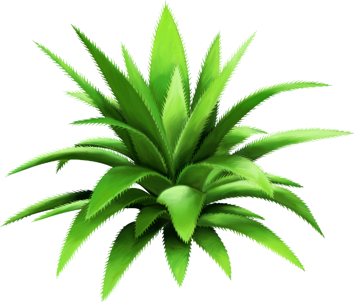 Into The Jungle (125)