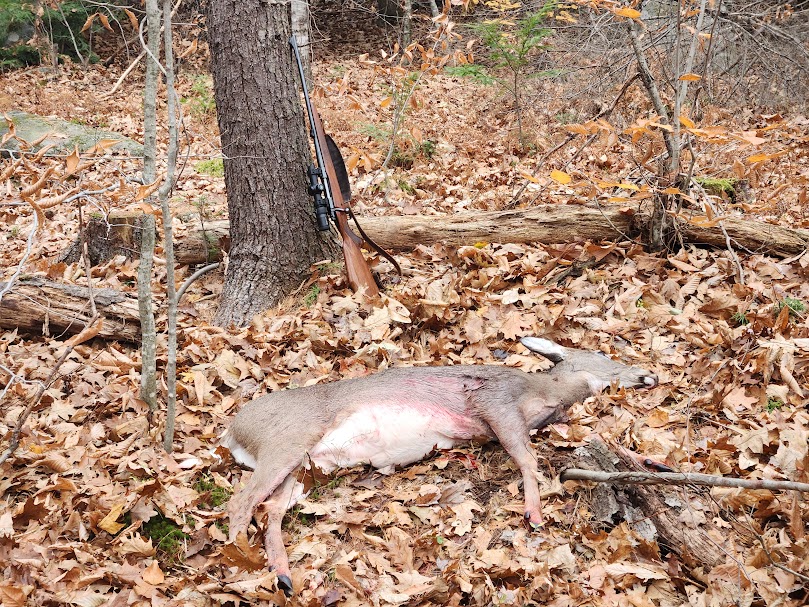 Doe